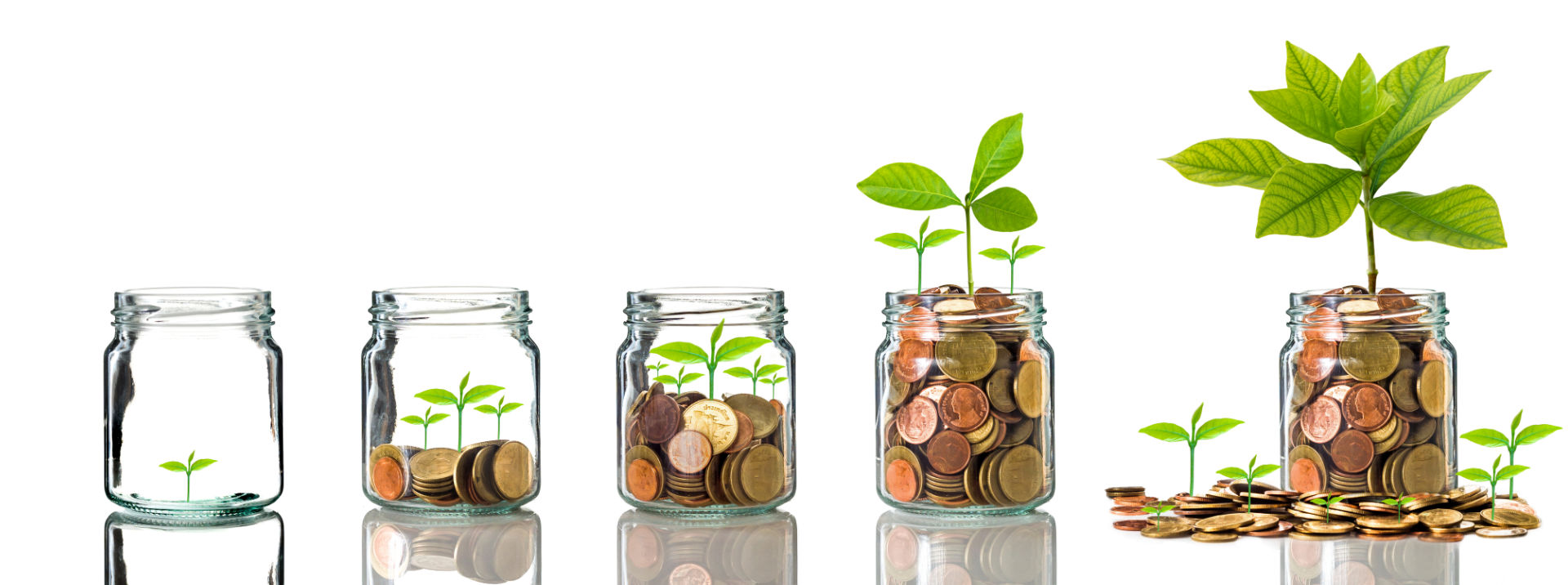 Personal Savings Account - Five glass jars containing coins with seedlings sprouting | Ozark Bank